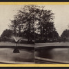 The fountain on the Mall.