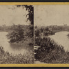 The Lake and the Bow Bridge.