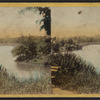 The Lake and the Bow Bridge.