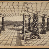 Vine Clad Walk.