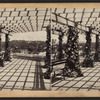 The Vine Clad Walk.