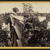 The Bow Bridge.