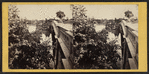The Bow Bridge.
