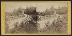 Rustic Bridge near the West Drive.