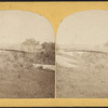 The Iron Bridge, Central Park, N.Y.