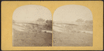 The Iron Bridge, Central Park, N.Y.