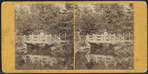 Rustic bridge near lake.