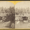 Central Park, Rustic bridge.