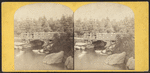 Central Park, Rustic bridge.