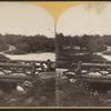 Central Park, Rustic Bridge.
