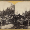 Central Park, Rustic Bridge.