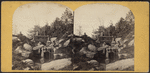 Central Park, Rustic Bridge.