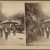 Arch over 66th Street, Central Park, N.Y.