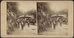 Arch over 66th Street, Central Park, N.Y.