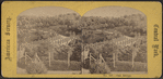 Oak Bridge.