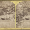 Rustic Bridge in the Ramble.