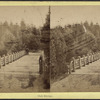 Oak Bridge.