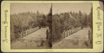 Oak Bridge.