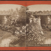 Rustic Bridge, Central Park, N.Y.