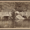 Rustic Bridge, Central Park, N.Y.