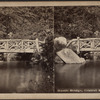 Rustic Bridge, Central Park, N.Y.