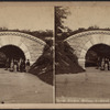 Arch under Drive, Central Park, N.Y.