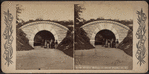 Arch under Drive, Central Park, N.Y.