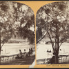Bow Bridge, Central Park, N.Y.