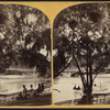 Bow Bridge, distant view.