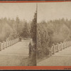 Oak Bridge, Central Park.