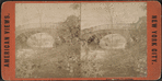 Rustic Bridge, Central Park.