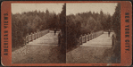 Oak Bridge, Central Park.