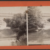 Balcony Bridge, Central Park, N.Y.