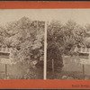 Rustic Bridge, Central Park, N.Y.