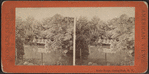 Rustic Bridge, Central Park, N.Y.