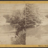 Balcony Bridge, Central Park, N.Y.