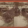 Central Park, New York. [Rustic Bridge]