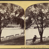 Distant view of Bow Bridge, Central Park.