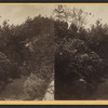 Entrance to the cave, Central Park.