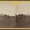 View in Central Park, N.Y.