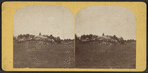 View in Central Park, N.Y.