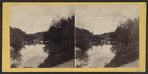 View in Central Park, N.Y.
