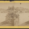Central Park.