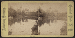 Lake scene.