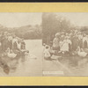 The white swans.