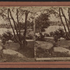 Lake, Central Park.