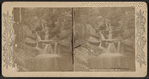 Cascade in Central Park, N.Y.
