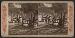 Boat landing at the lake, Central Park, N.Y.