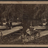 Boat landing at the lake, Central Park, N.Y.