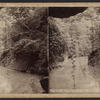 The lake, near the cave, Central Park, N.Y.